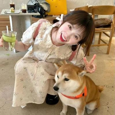 夏愿春梦